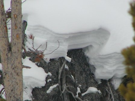 Snow Layers Photograph