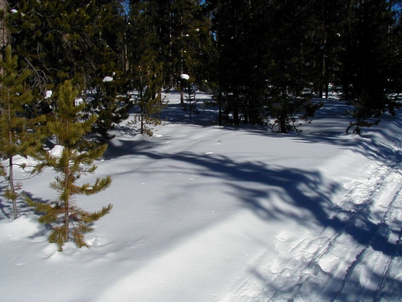 Lots of snow Photograph