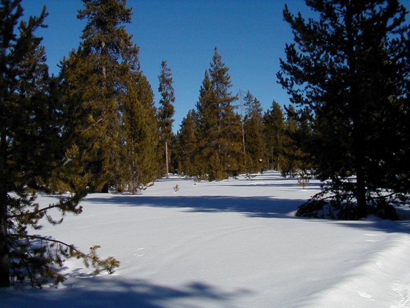 and more snow Photograph
