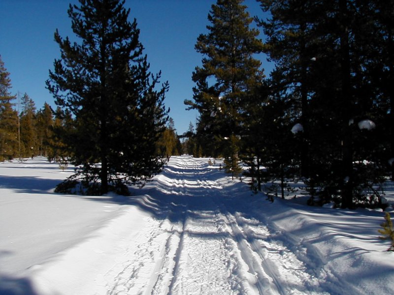 on the way back Photograph