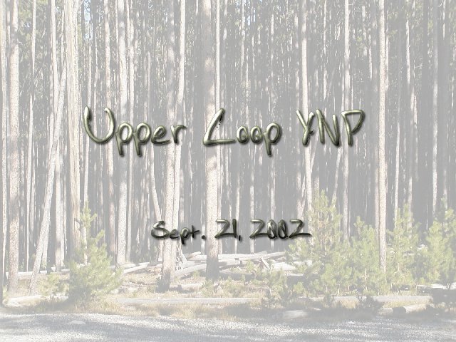 Upper Loop YNP 092102