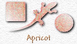 OMS Apricot