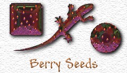OMS Berry Seeds
