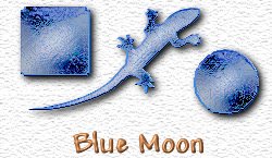 OMS Blue Moon