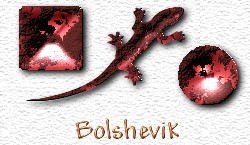 OMS Bolshevik