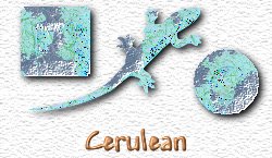 OMS Cerulean