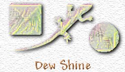 OMS Dew Shine