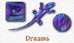 OMS Dreams