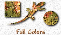 OMS Fall Colors