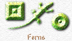 OMS Ferns