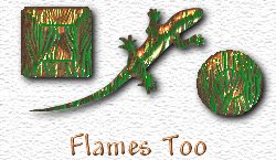 OMS Flames Too