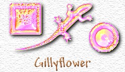 OMS Gillyflower