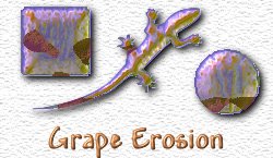 OMS Grape Erosion