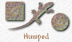 OMS Humped
