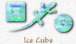 OMS Ice Cube