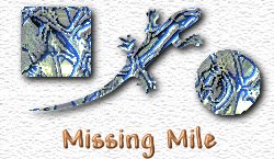 OMS Missing Mile