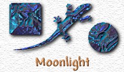 OMS Moon Light