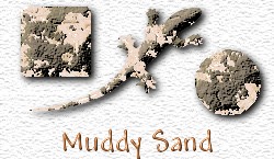 OMS Muddy Sand