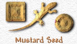 OMS Mustard Seed