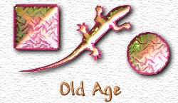 OMS Old Age