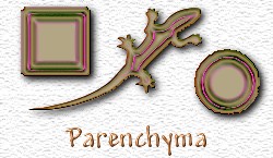 OMS Parenchyma
