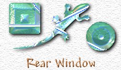 OMS Rear Window