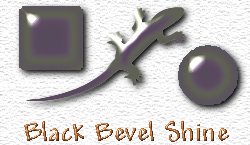 OMS Black Bevel Shine