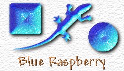 OMS Blue Raspberry