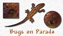 OMS Bugs on Parade