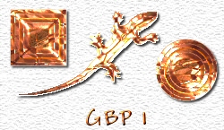 OMS GBP 1
