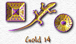 OMS Gold 14