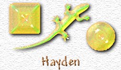 OMS Hayden