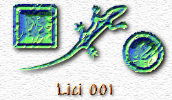 OMS Lici 1