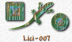 OMS Lici 7