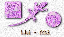 OMS Lici 22