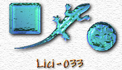 OMS Lici 33