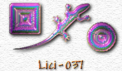 OMS Lici 37