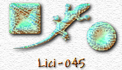 OMS Lici 45
