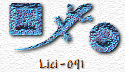 OMS Lici 91