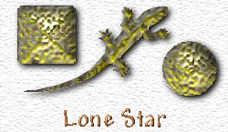 OMS Lone Star
