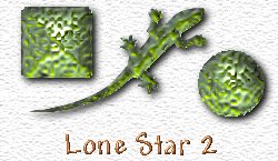 OMS Lone Star 2