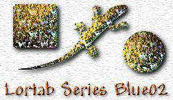 OMS Lortab Series Blue 2