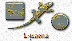 OMS Lycaena
