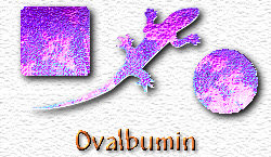 OMS Ovalbumin