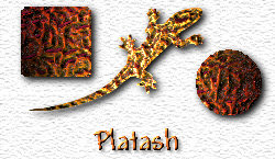 OMS Platash