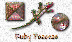 OMS Ruby Poaceae