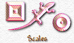 OMS Scales