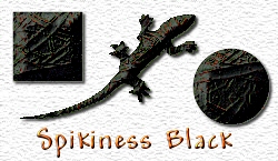 OMS Spikiness Black