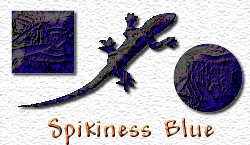 OMS Spikiness Blue