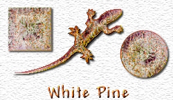 OMS White Pine